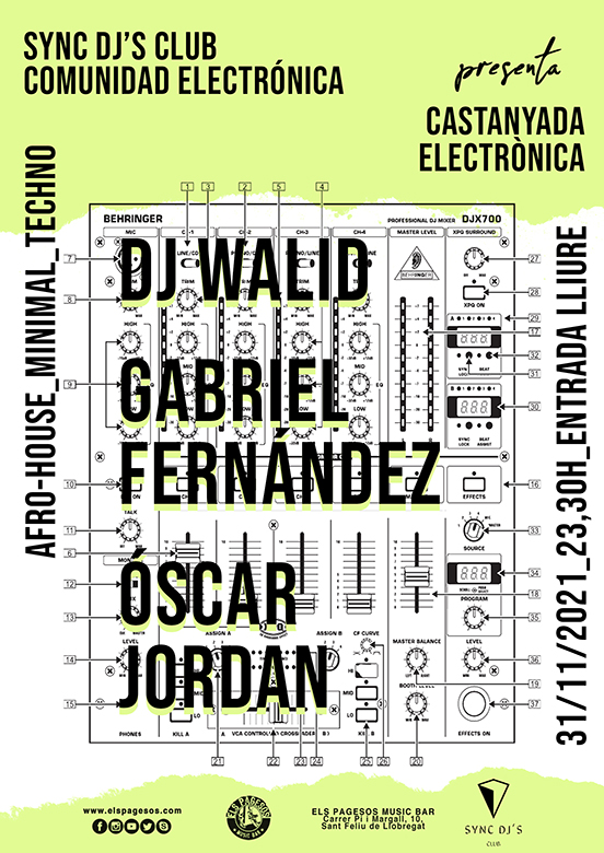 CASTANYADA ELECTRÒNICA